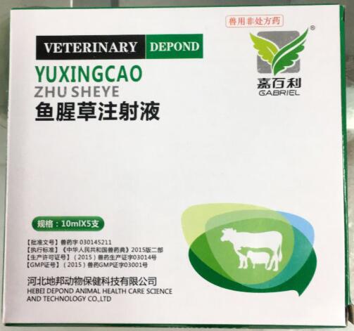 魚腥草注射液-清熱解毒，消腫排膿,利尿通淋-河北地邦