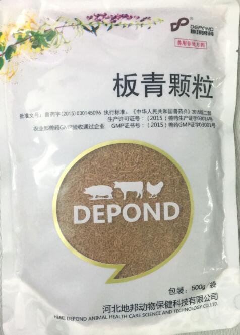 板青顆粒-清熱解毒，涼血。主治風熱感冒，咽喉腫痛，熱病發斑。-河北地邦