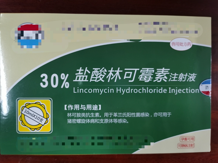 30%鹽酸林可霉素注射液--用于革蘭氏陽性菌，豬密螺旋體病，支原體病感染