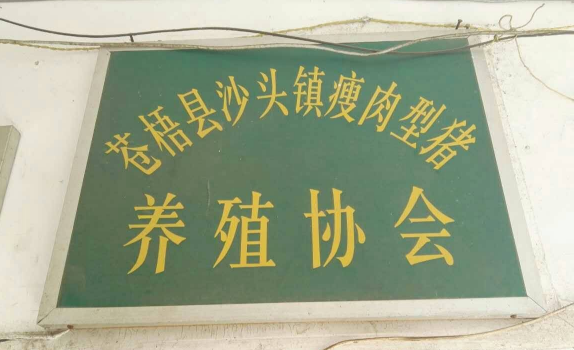 廣西助農服務在養殖場一線技術員2.png