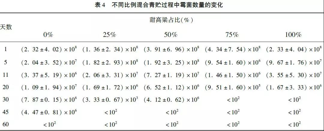 1551164621283579.jpg