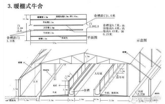 暖棚式牛舍平面設計圖紙
