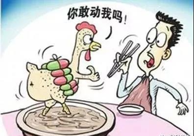 養殖抗生素殘留處罰.jpg