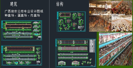 家禽養殖場建設1.jpg