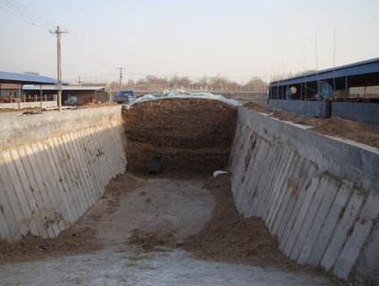 大池發酵青貯飼料.jpg