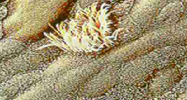 1667958316451059.png image.png
