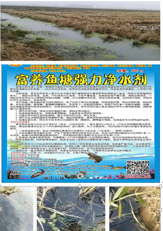 富養(yǎng)魚塘.png