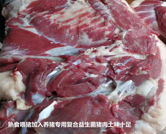 熟食喂豬加入養豬專用復合益生菌豬肉土味十足.jpg