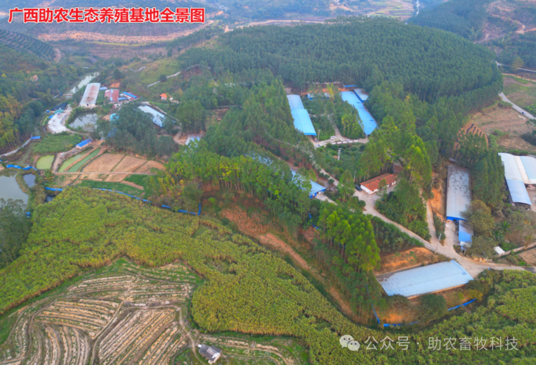 基地圖2.png