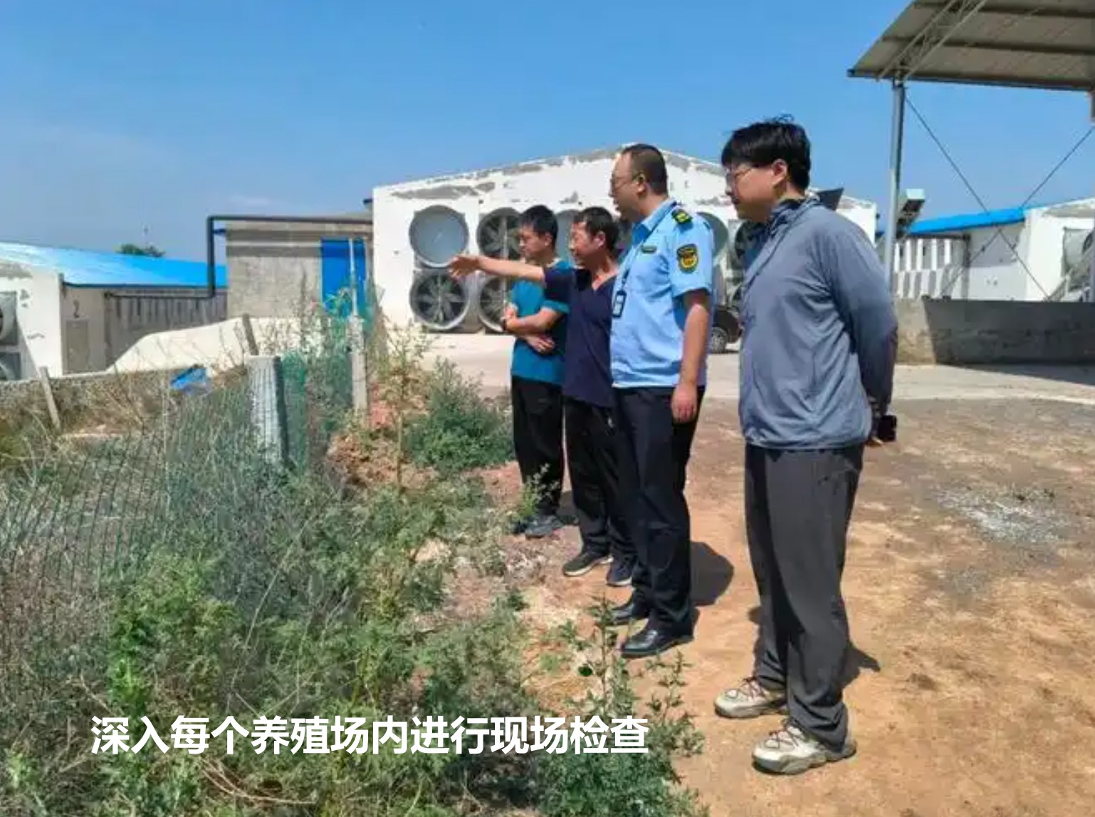 深入每個養(yǎng)殖場內進行現場檢查.jpg